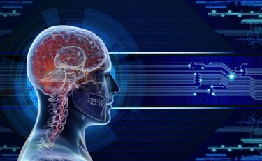 Quando dormi si spegne il cervello? No, ecco cosa accade