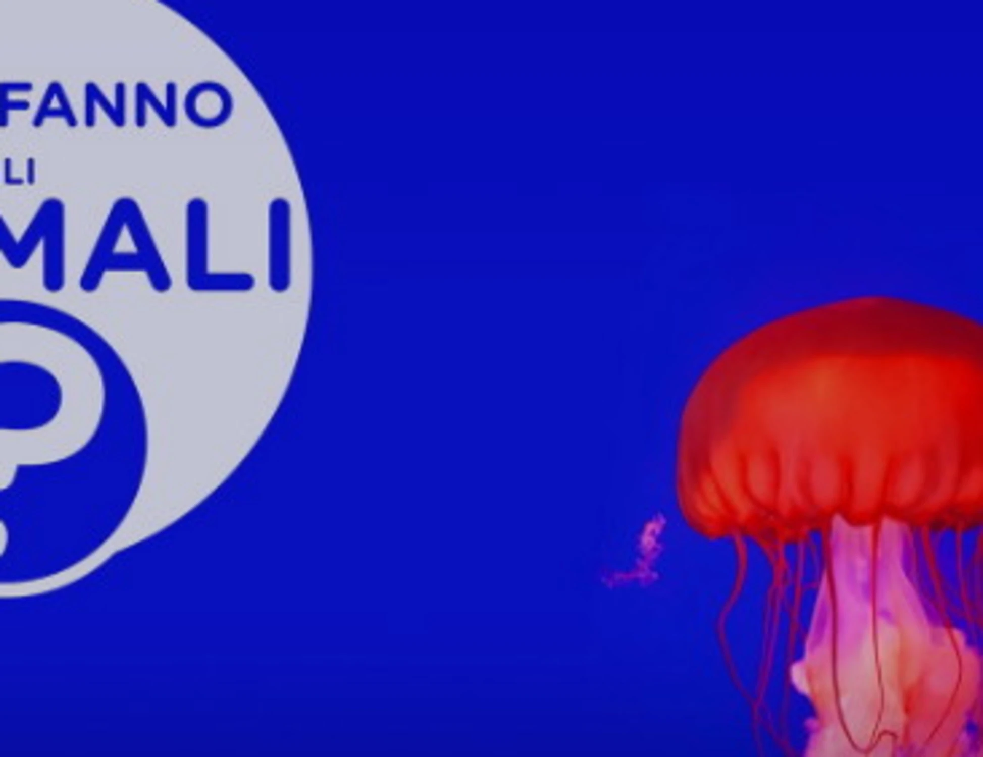 Come fanno gli animali, i misteri animaleschi sono un fenomeno tv