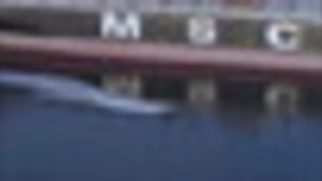 Hormuz, pasdaran diffondono immagini del sequestro di due navi cargo