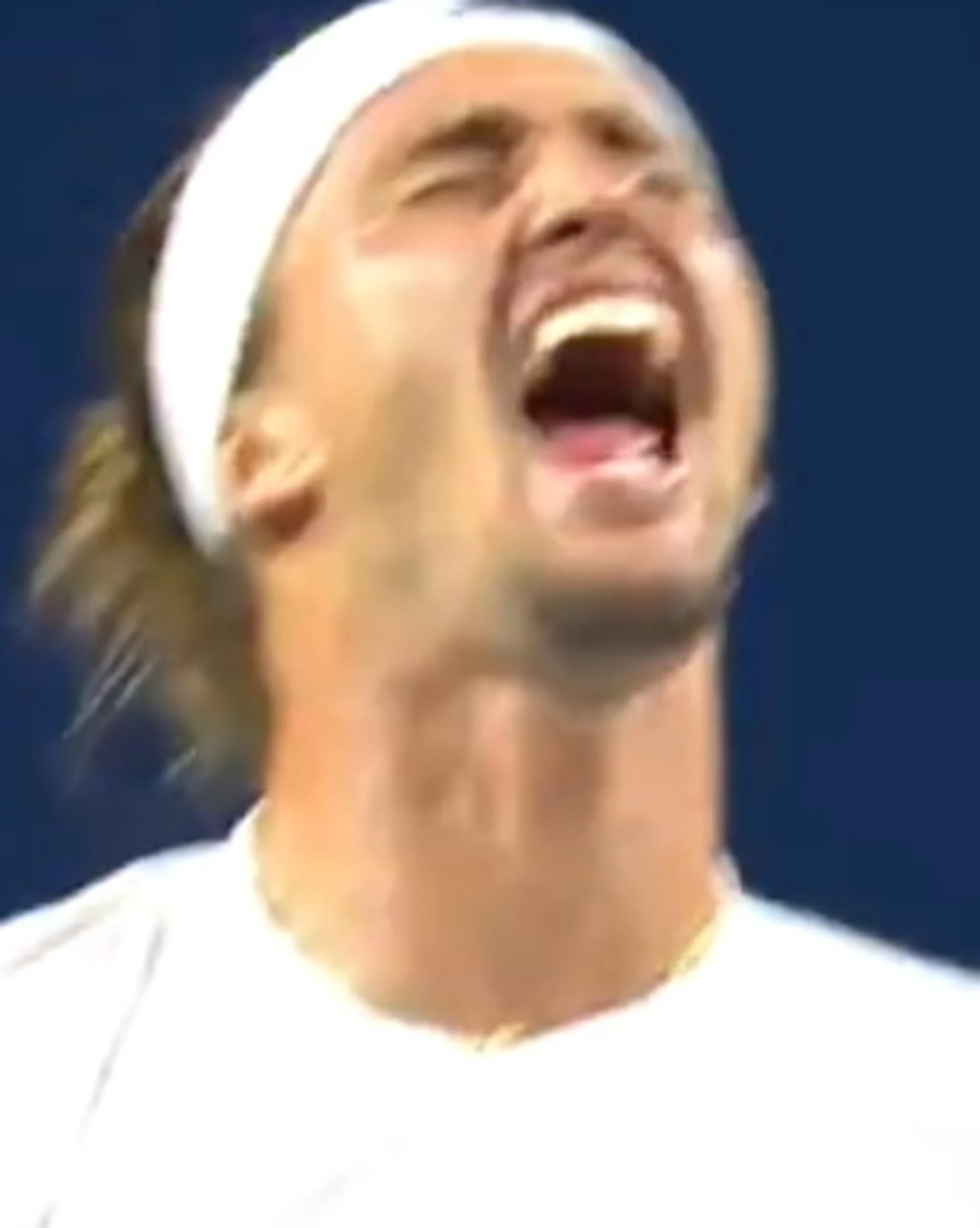 Alexander Zverev vince il set ed esulta come un matto? L'arbitro lo gela: "No"