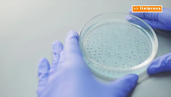 Nisticò (Aifa) "I farmaci sono sempre più innovativi e mirati"