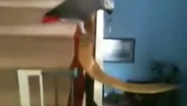 270x360