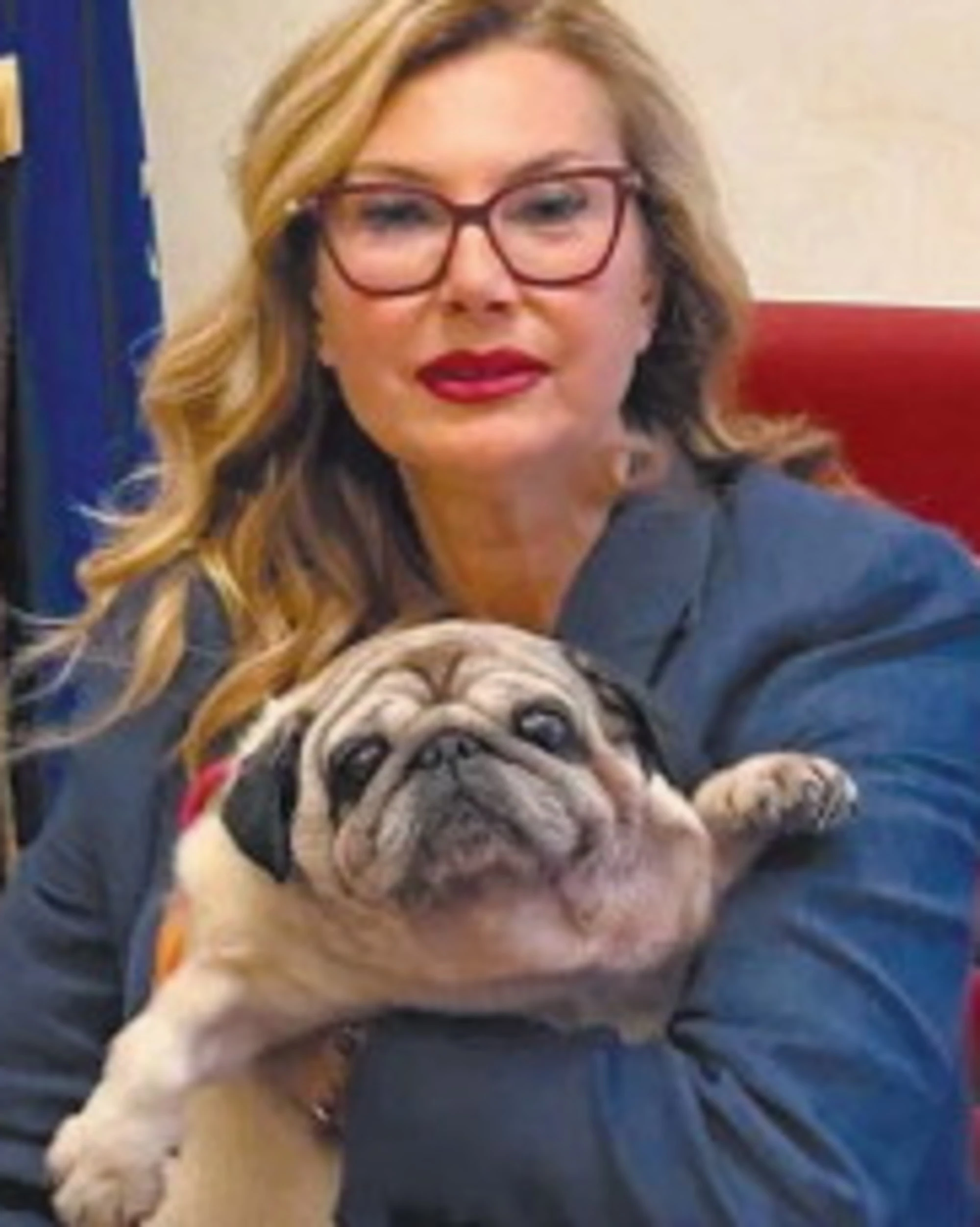 Cane in ufficio? Meno stress e il proprietario lavora meglio