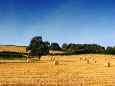A Roma nasce la 'Dom', la denominazione d'origine municipale dei prodotti del territorio