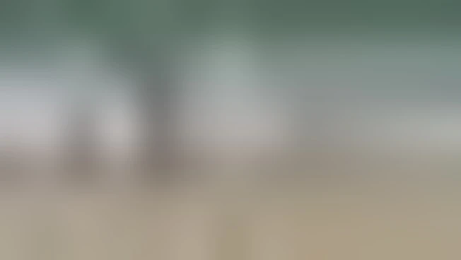 https://media.liberoquotidiano.it/VlyofBBjQZSSs6IwOtIkGu8IflIM67hnudDW61Qec68/width:800/quality:90/aW1hZ2VzLzIwMjYvMDgvMDEvMTQwODMxMjAyLTIzOWZiZmJiLWFiNGMtNDAyMS05YjNmLWUyNTdhZDM3NGFkYi5qcGc.webp