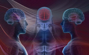 Il tuo sguardo racconta chi sei: la scoperta negli occhi che rivela come ragiona il cervello