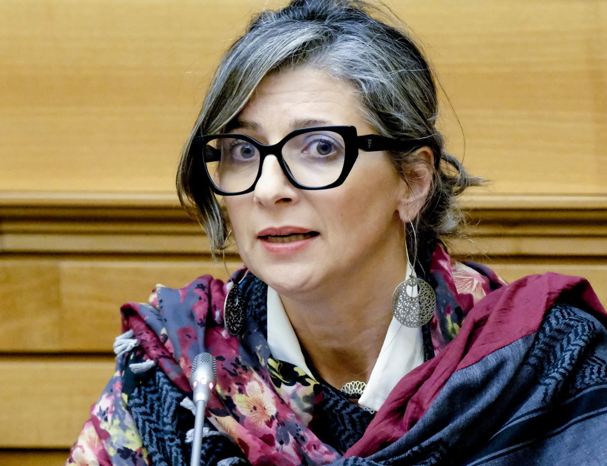 Molinari contro Francesca Albanese: "Da chi ha accettato finanziamenti"