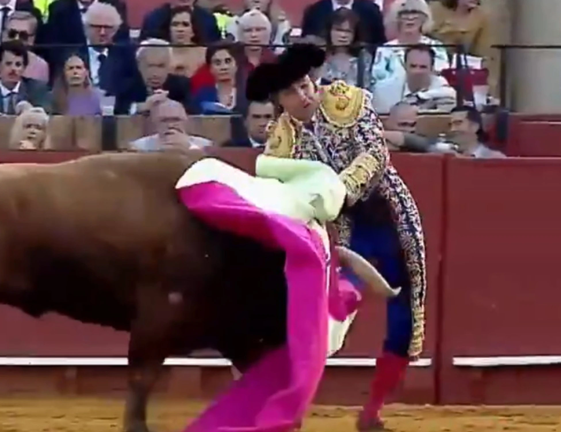 Siviglia, il toro perfora il retto al torero: dramma e orrore alla corrida