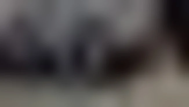 https://media.liberoquotidiano.it/W-7bmLWbxAJBX4Ma80r8dUJB6x_FhPXHsQFT7dVPImA/width:800/quality:90/aW1hZ2VzLzIwMjUvMDkvMjkvMTczMjE3ODYyLTFkMTBhYTgyLTg2ZjYtNGRiOS05M2E4LTdhYWVkMmVmNGEyMC5qcGc.webp