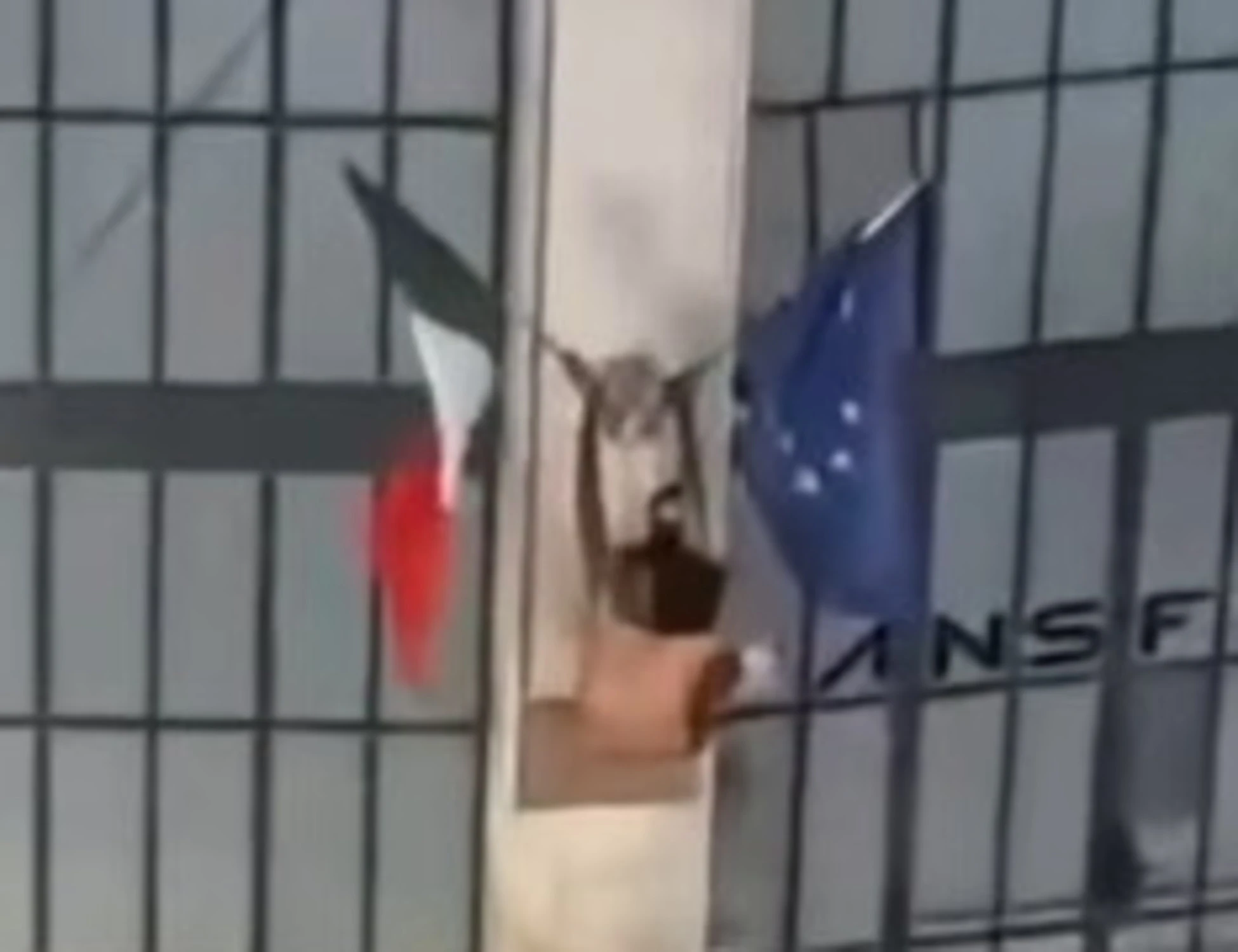 Firenze, il video sui social: "L'immigrato stacca il Tricolore e ci sputa sopra"