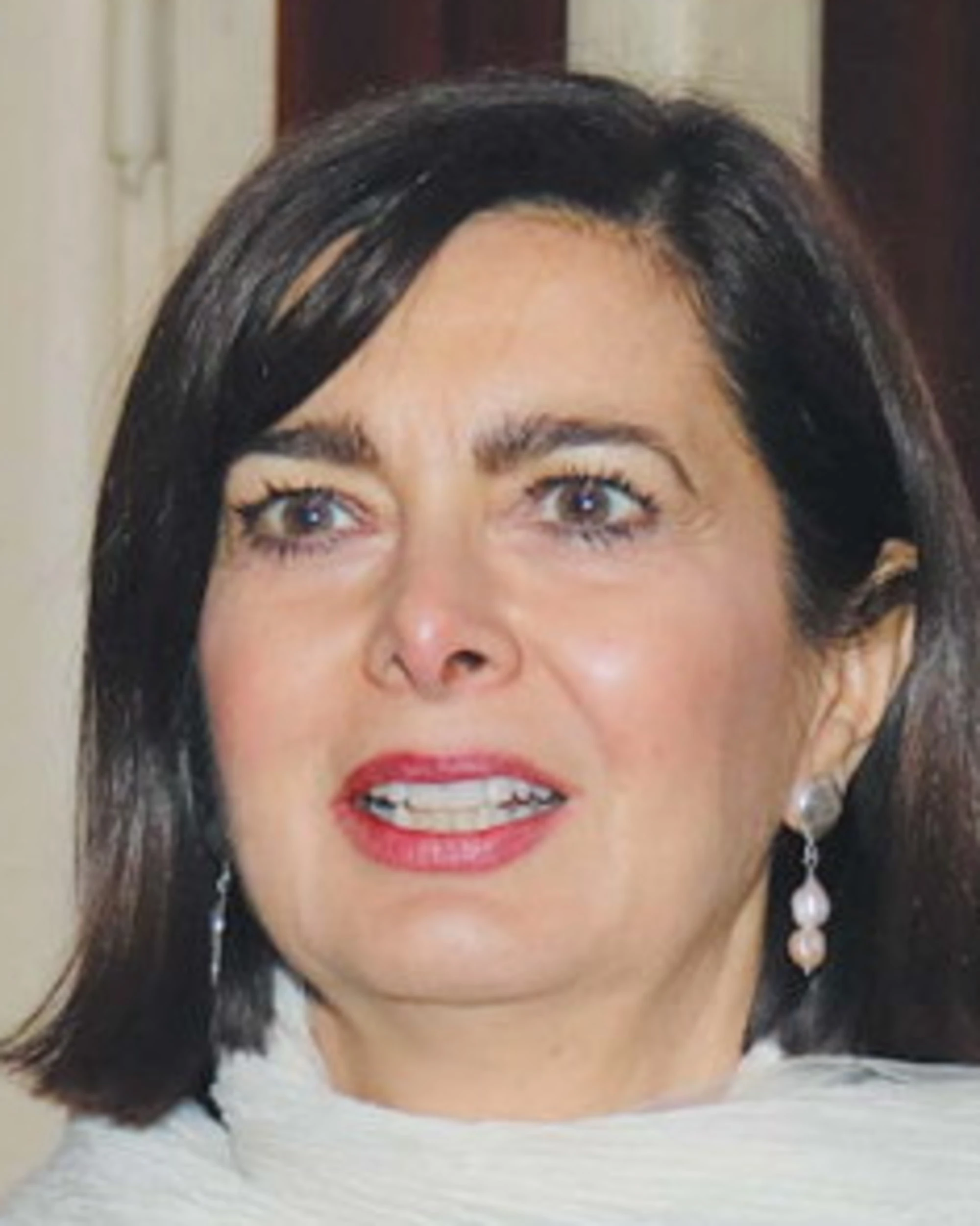 Laura Boldrini e compagni vogliono invadere Gaza