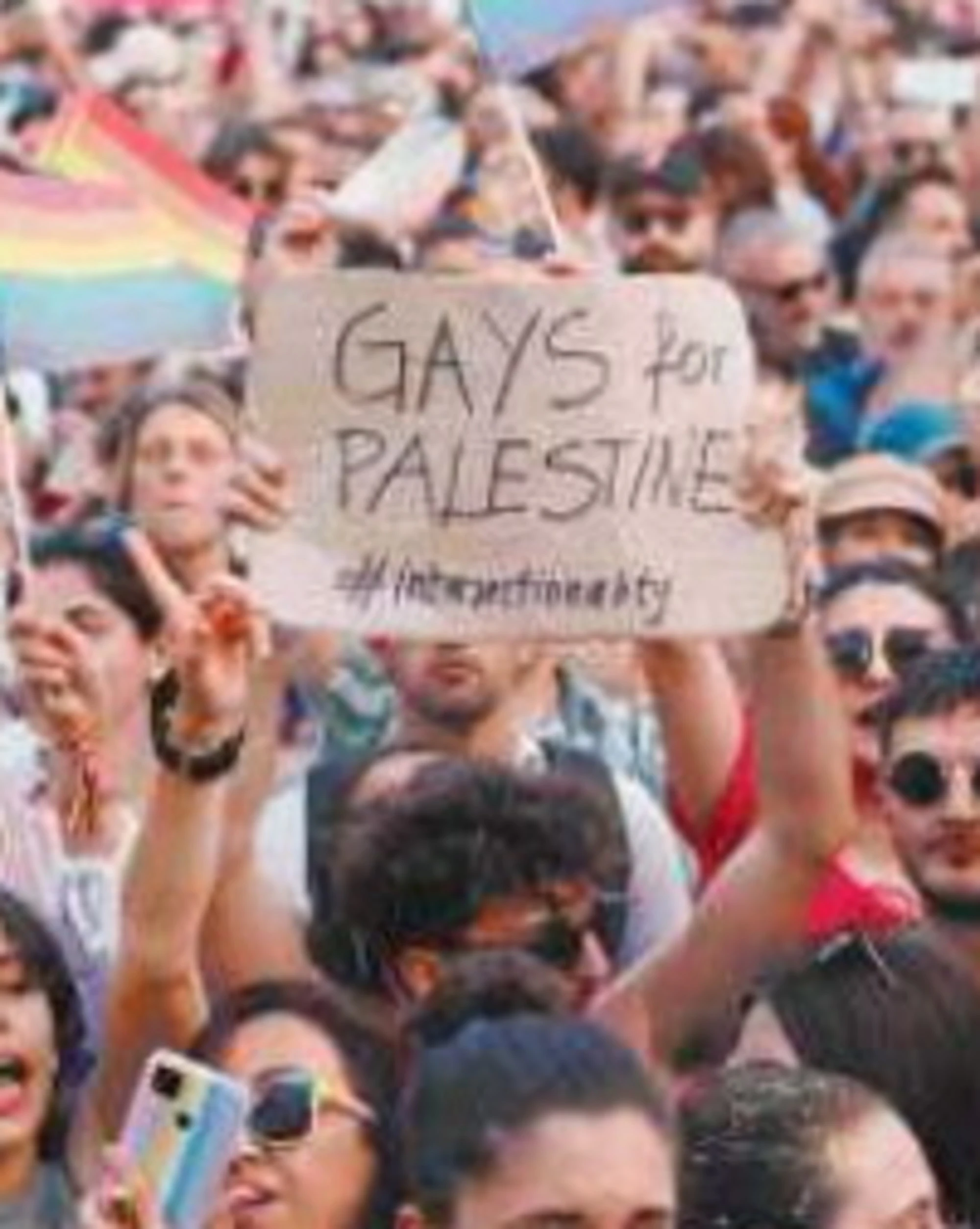 Scuola, la propaganda gender: dalle scale colorate ai conigli gay