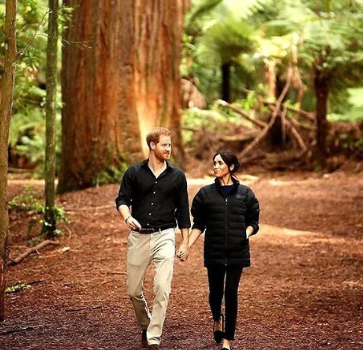 Meghan Markle e Harry, una foto dall'Africa per umiliare il figlio di Kate Middleton e William