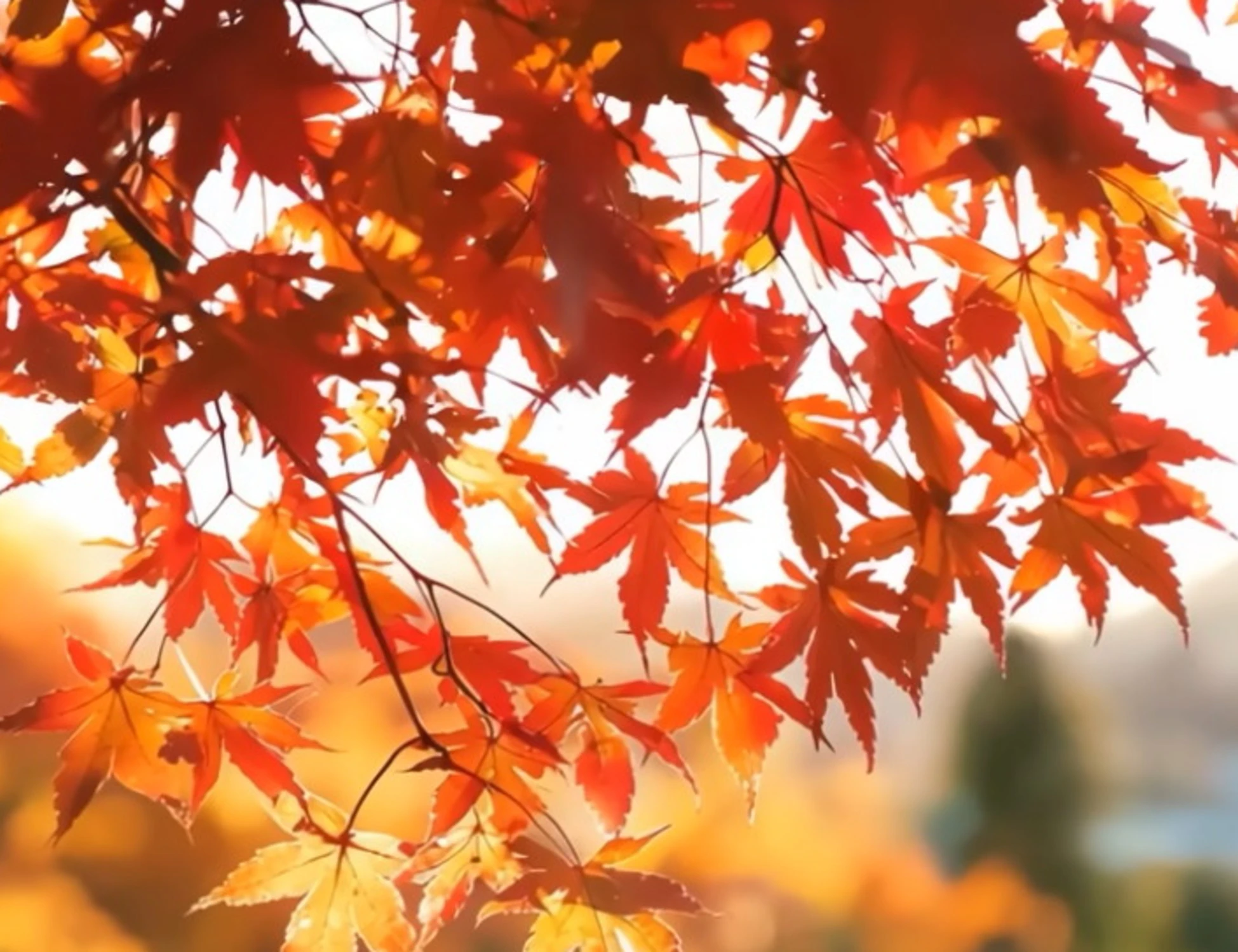 Meteo, Mario Giuliacci: "Ottobrata in arrivo", come cambia il tempo