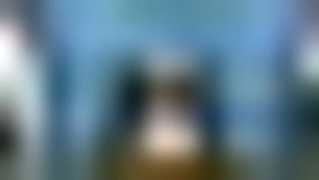 https://media.liberoquotidiano.it/WC1U6wqrYqNkfRHEeg76PhpXi_kG0045Cx3ZBV3ckK0/width:800/quality:90/aW1hZ2VzLzIwMjUvMDkvMjUvMTUzMDIyODMxLWVhZWE4NjA0LWQwNmEtNDYxNC1hY2JlLTcxZjdmZDE0ZWRmZS5qcGc.webp