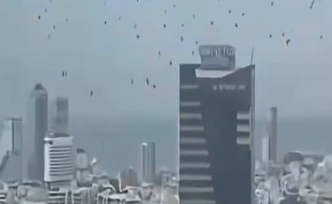 Tel Aviv invasa da corvi neri, complottisti scatenati: il video