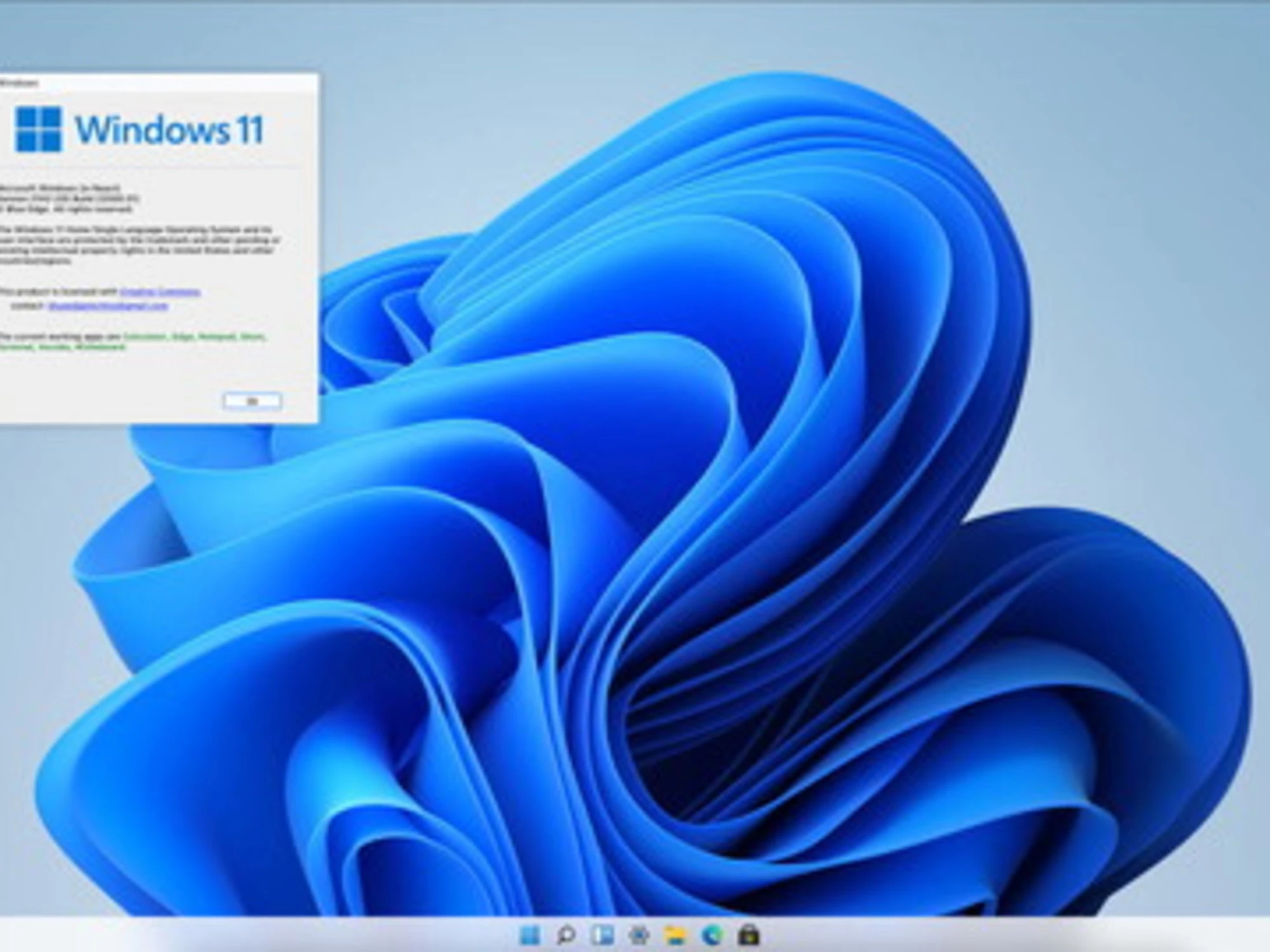 Windows 11, il disastroso aggiornamento di aprile: pc ko, ecco cosa succede