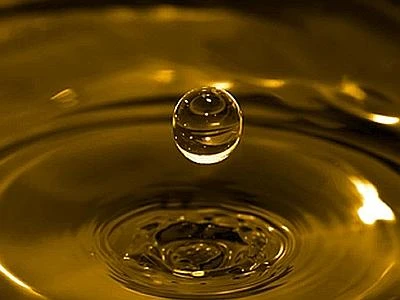 Olio d'oliva più trasparente con il protocollo 'Qualità, Ambiente e Sicurezza'