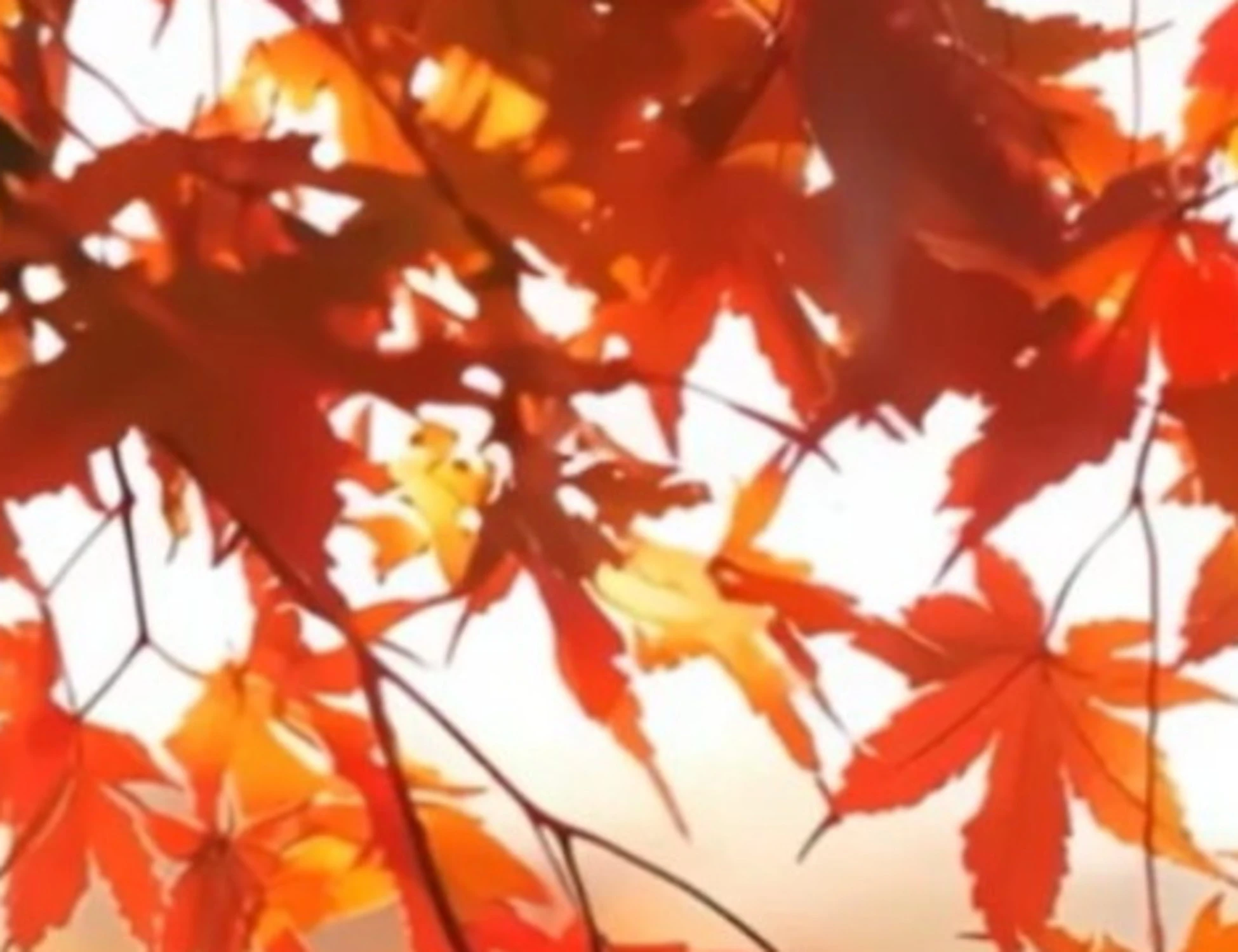 Meteo-Giuliacci, "ottobrata in arrivo": cosa accadrà nelle prossime ore