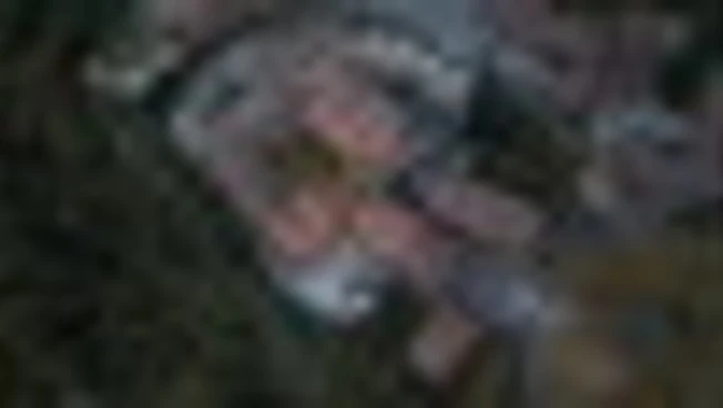 Borgo Monchiero, un'amicizia fa rinascere un monastero nelle Langhe 