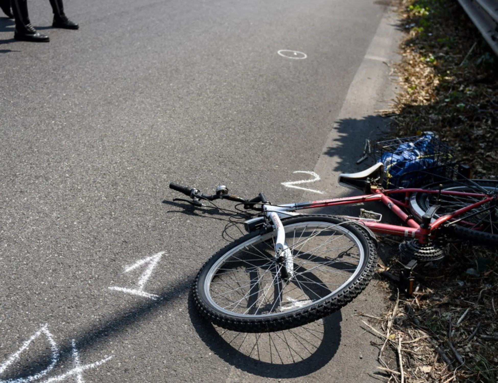Leggi l'articolo: La Treviso bene sotto choc: 25enne investe una donna in bici. Poi la scoperta: chi sono