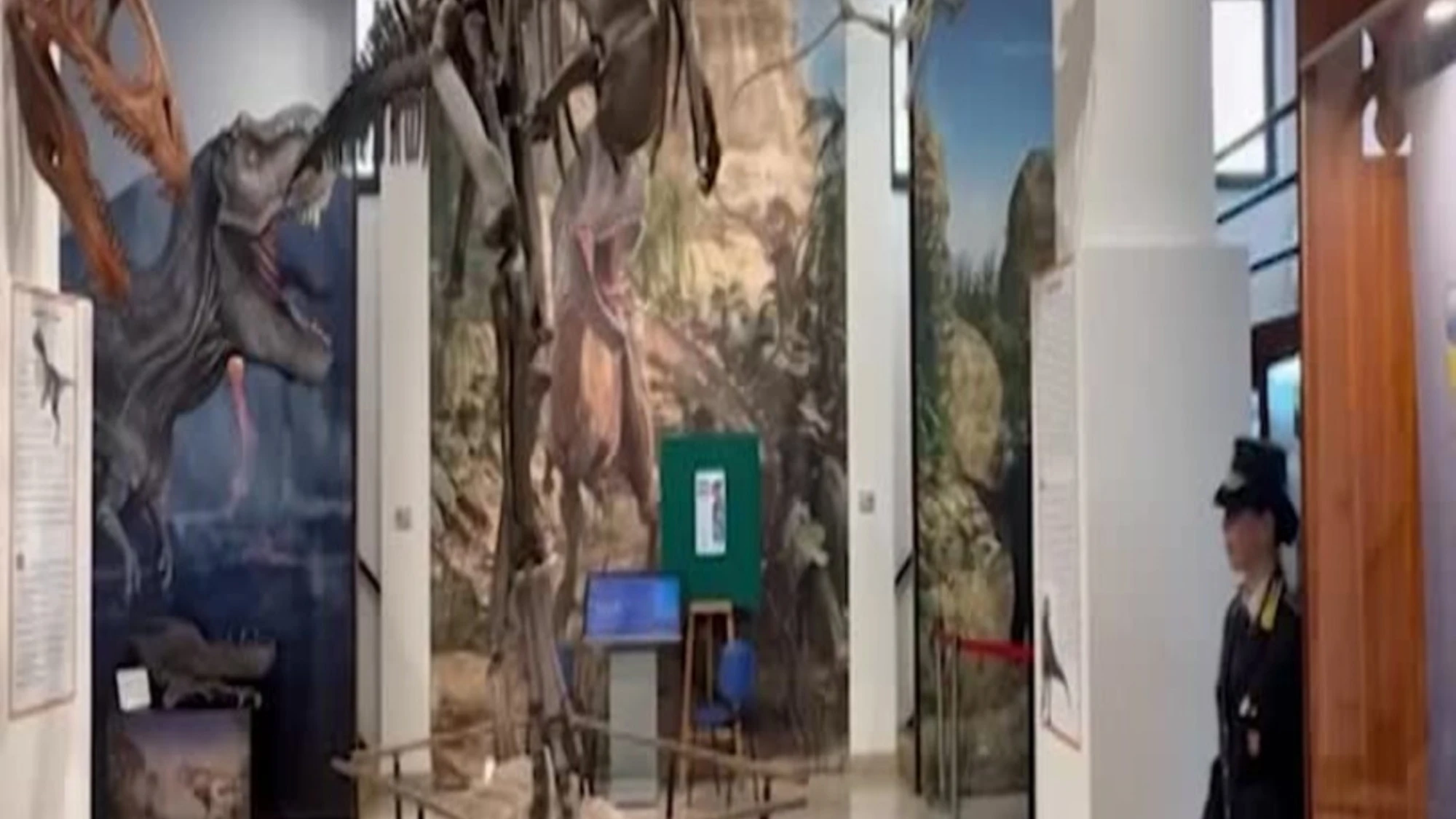 Palermo, Gdf sequestra 17 reperti fossili risalenti a 50 milioni di anni fa