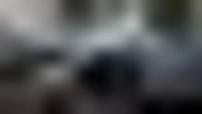 https://media.liberoquotidiano.it/WYG2NCSo9KICc5ggUhbtv0Tq_MFgvKs_JBaHVaeRDk4/width:800/quality:90/aW1hZ2VzLzIwMjYvMDUvMDYvMTI0MTIzMDY1LTA4MzdlZWI4LWE1ZTUtNGVlMC05ZjA4LTU0MDhkYmMwODVkZS5qcGc.webp