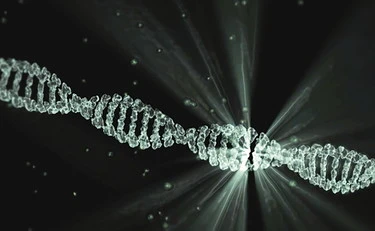 Schizofrenia, una nuova mutazione genetica per spiegare la malattia
