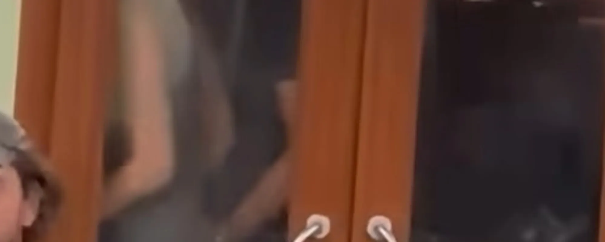 Sesso sul vaporetto: imbarazzo a bordo, il video è virale