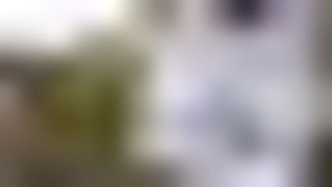 In Belgio servizio militare volontario per i giovani dai 18 anni