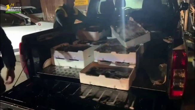 Sequestrati nel barese 115 kg pesce privo tracciabilità, donato in beneficenza