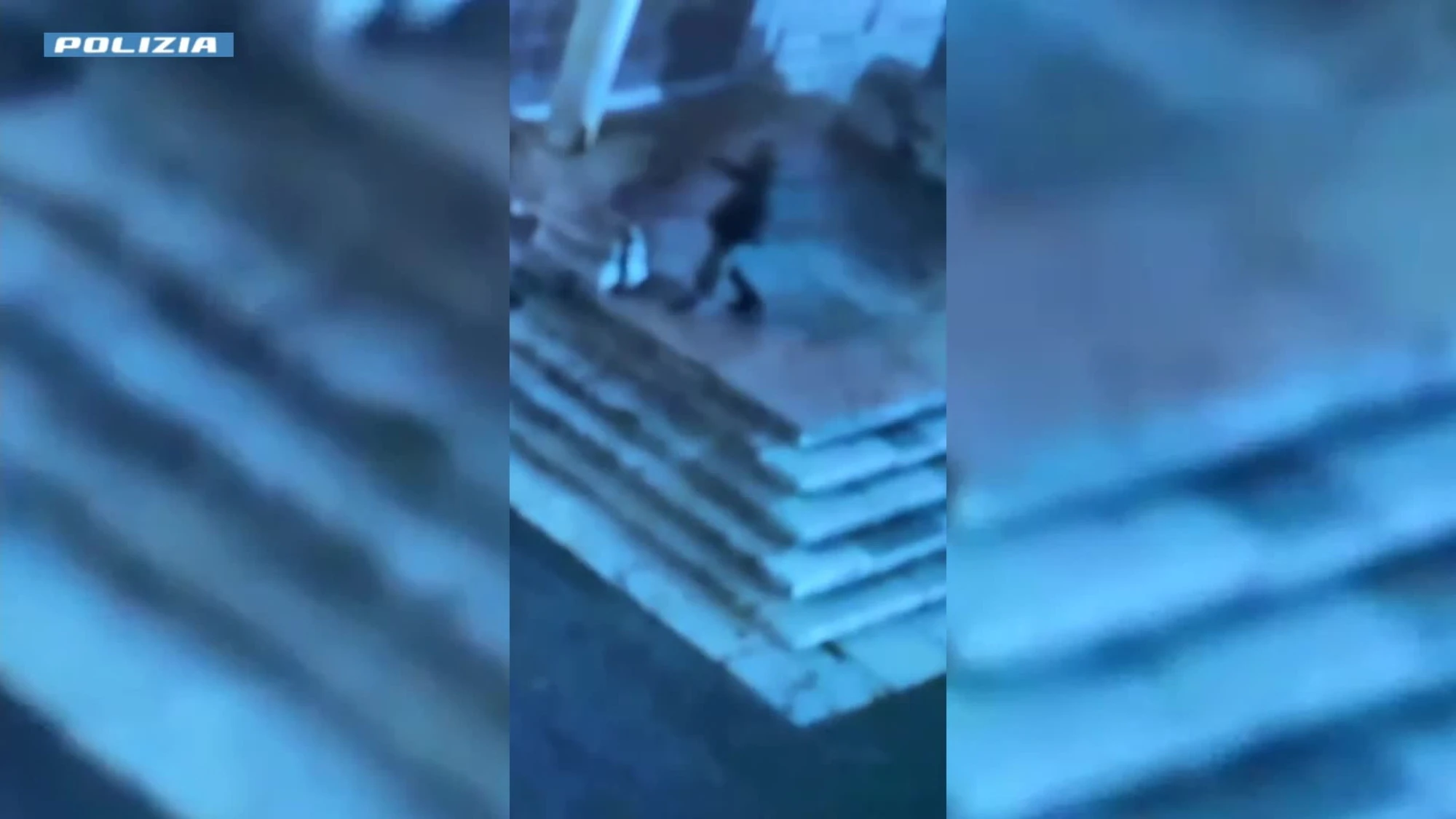 Individuato l'imbrattatore dei leoni di San Zeno a Verona