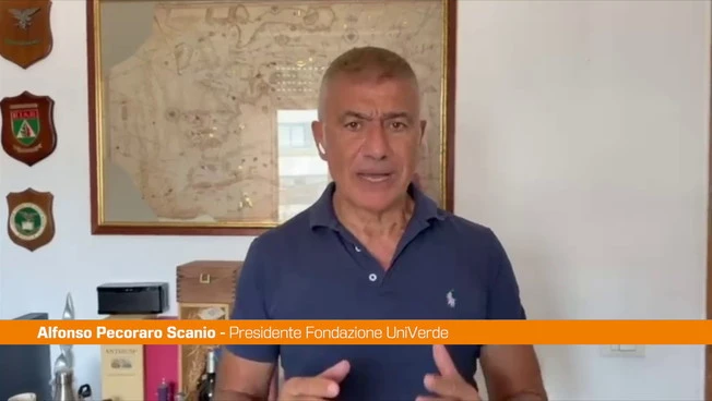 Comuni, Pecoraro Scanio “Giovani e tecnologie eco-digital per servizi migliori"
