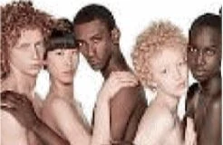 Oliviero Toscani, la foto dell'ammucchiata contro il governo: l'ultima vergogna