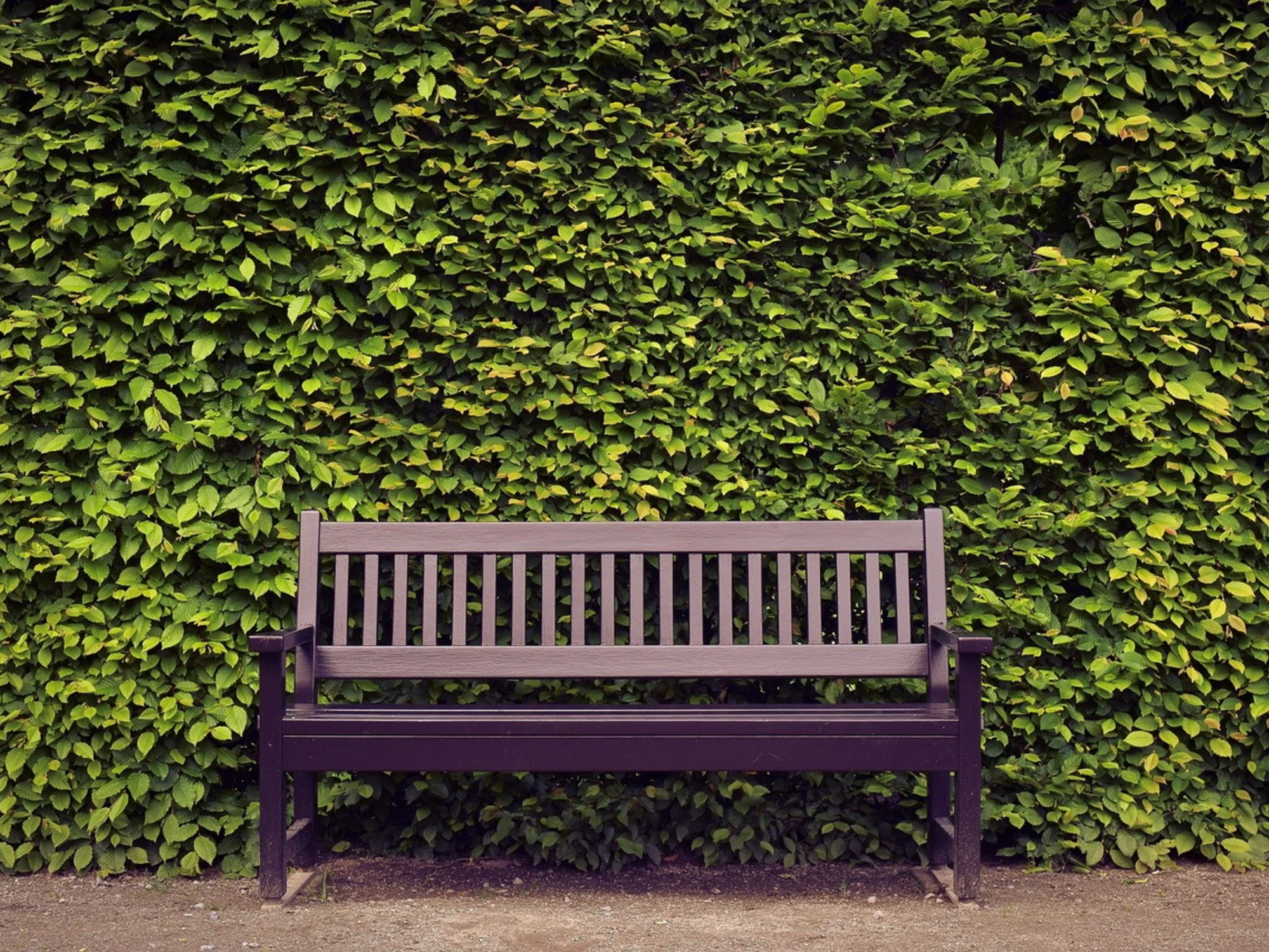 Le ferie migliori? A casa, da soli, in pace