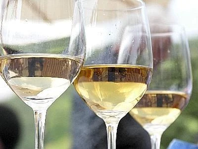 A Frascati è di scena 'Biowine', protagonisti i vini biologici e biodinamici