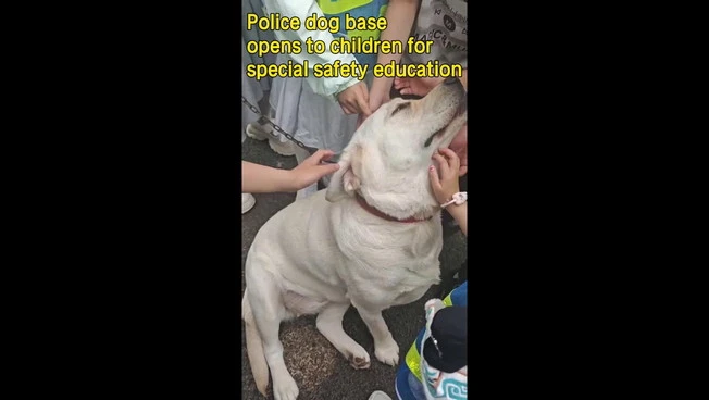 Cina, base di cani poliziotto accoglie bambini per educazione alla sicurezza