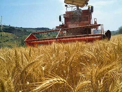 Per l'impatto climatico i campi bio 'valgono' 7% dell'obiettivo riduzione Co2