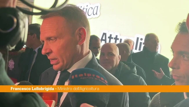 Lollobrigida "Sostenere l'agricoltura è una scelta strategica"