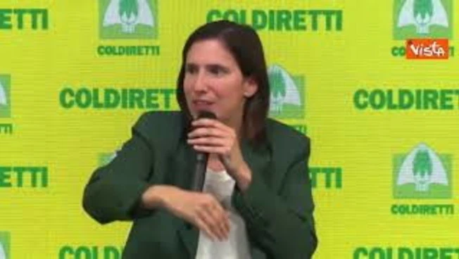 Violenza ai cortei, Schlein: Crosetto riferisca in Parlamento su ipotesi guerra ibrida
