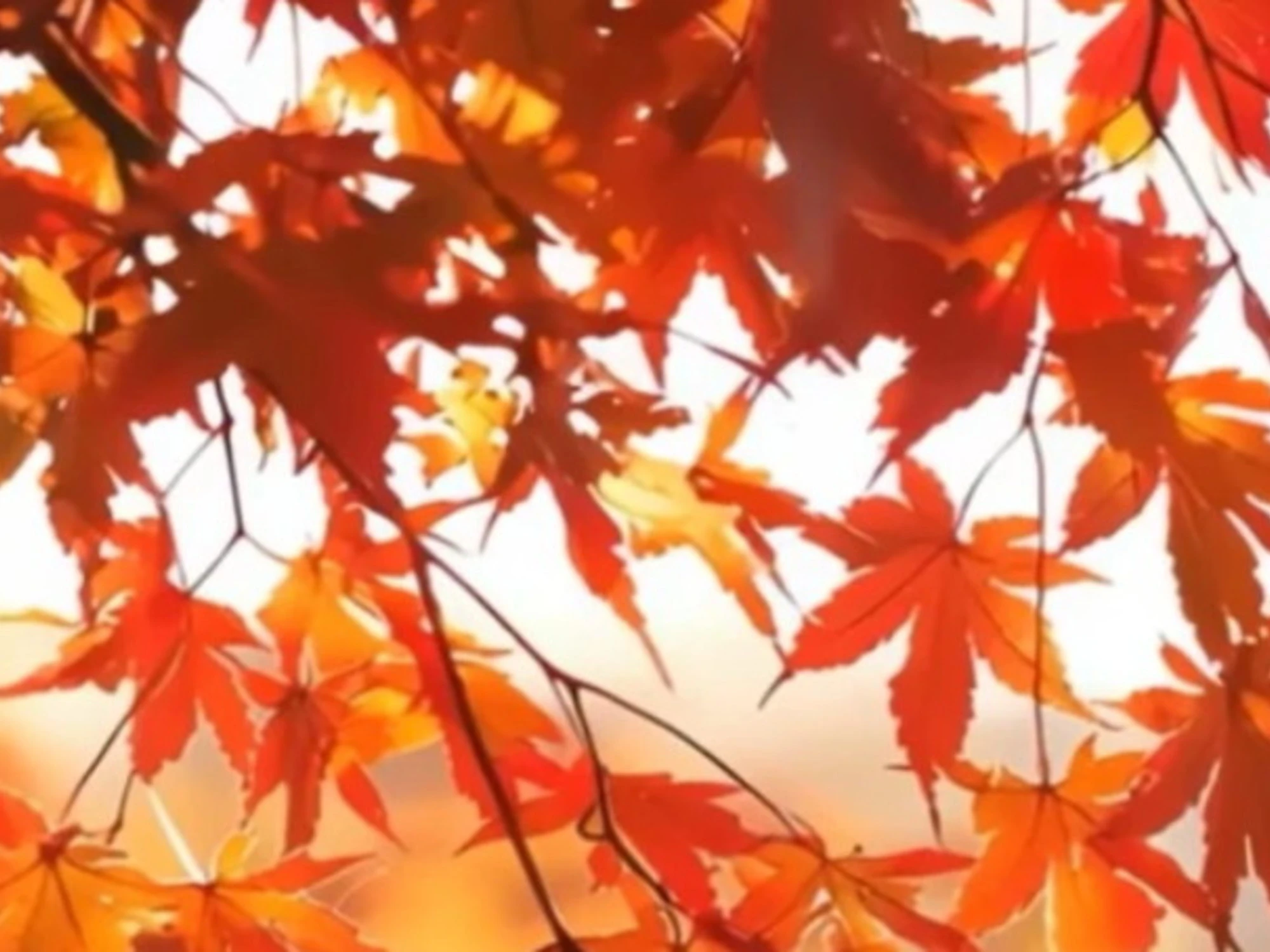 Meteo, Mario Giuliacci: arriva "l'estate di San Martino", clamoroso ribaltone