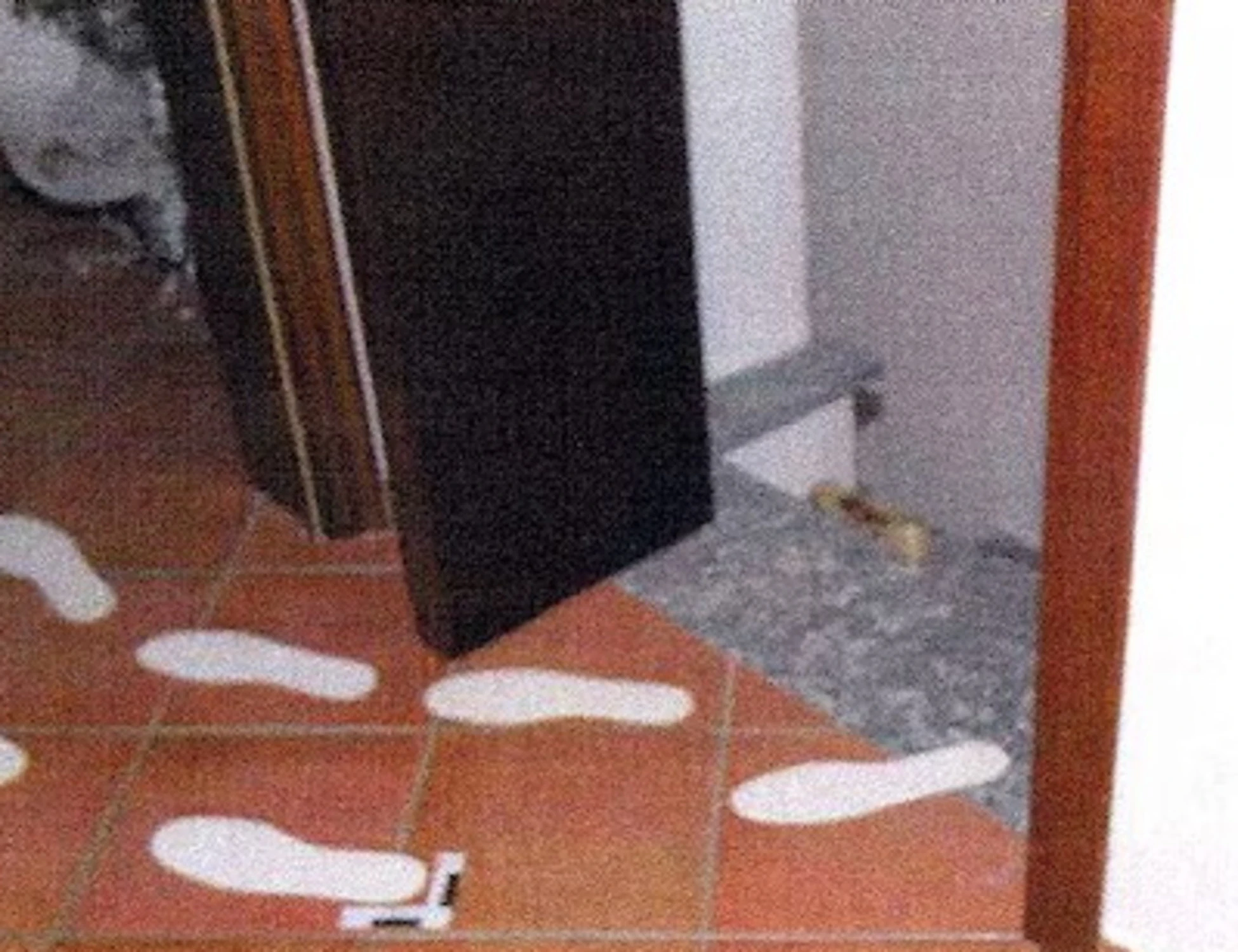 Chiara Poggi e "l'arma nel contenitore": gli ultimi secondi dell'assassino