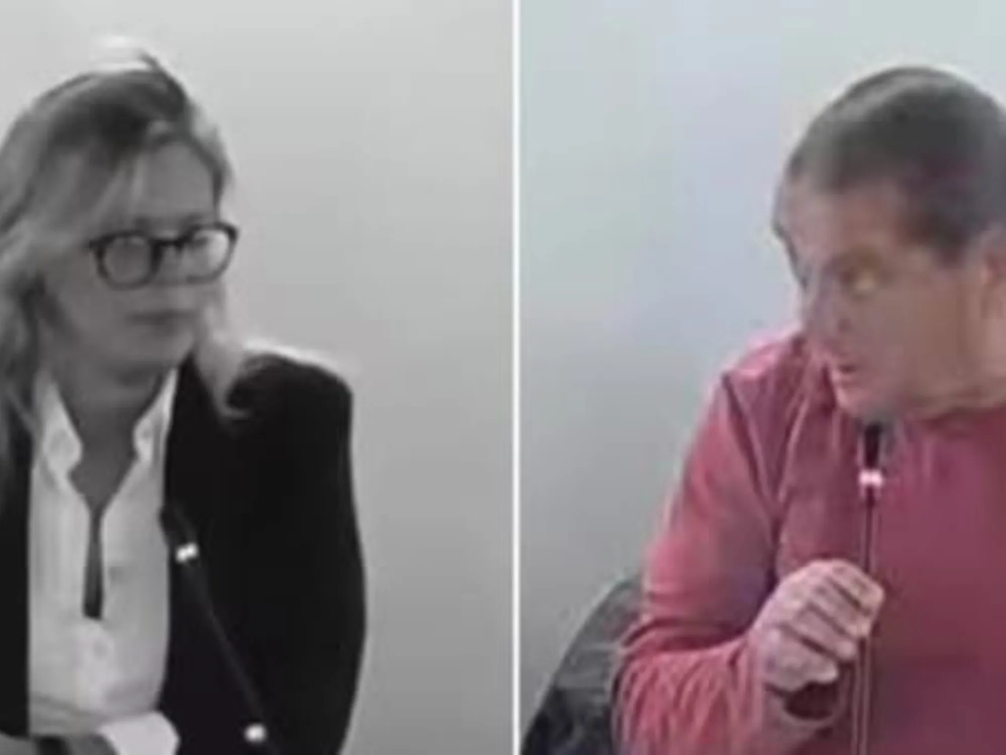 Leggi l'articolo: "Vieni fuori che...": il consigliere dem insulta la forzista, il caso