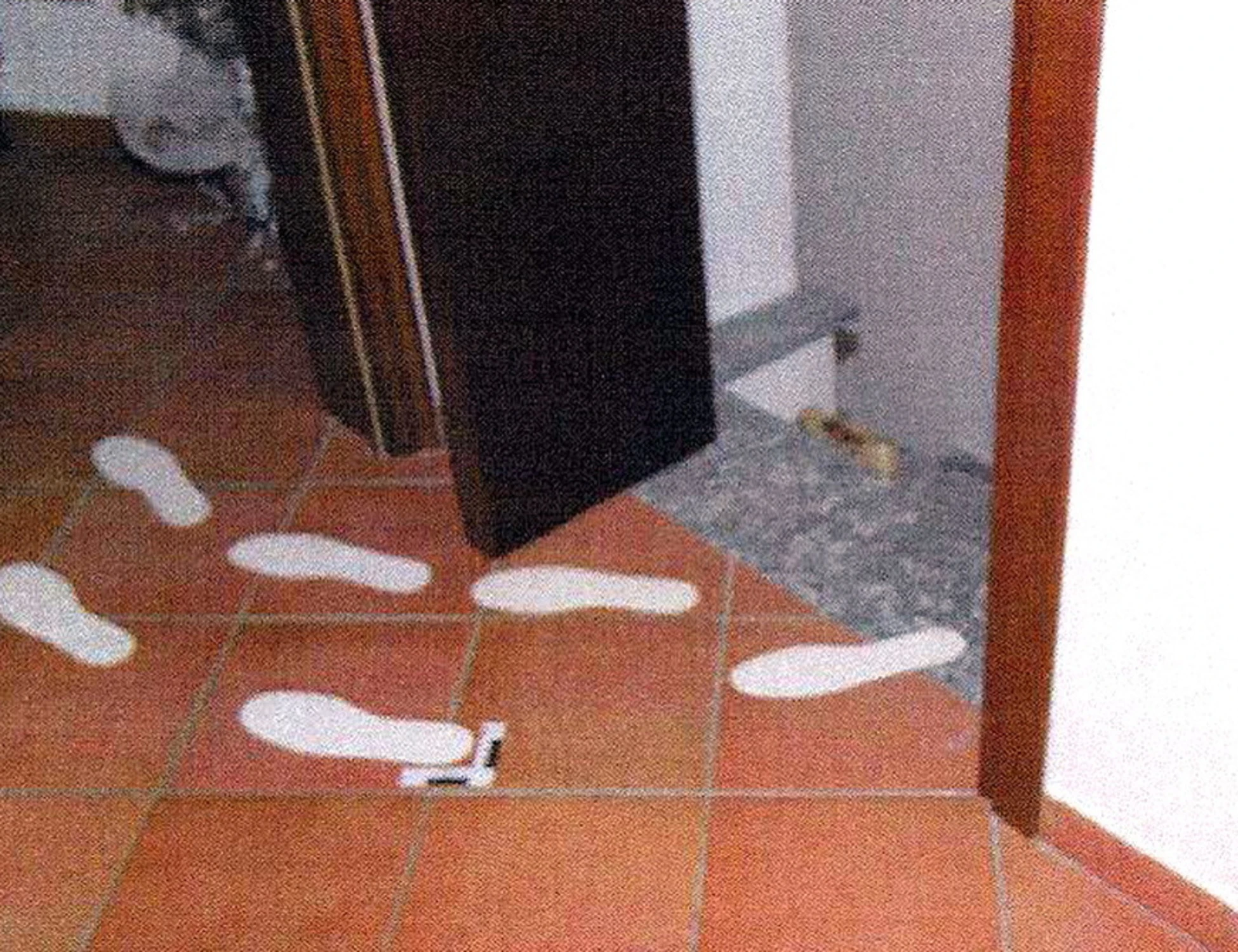 Garlasco, spunta una nuova traccia mai repertata: "Forse..."