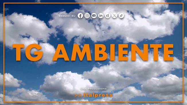 Tg Ambiente - 9/8/2026