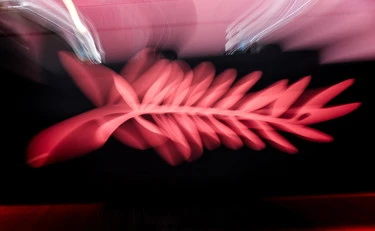 Il cinema italiano è morto da 40 anni ma incolpano Giorgia Meloni