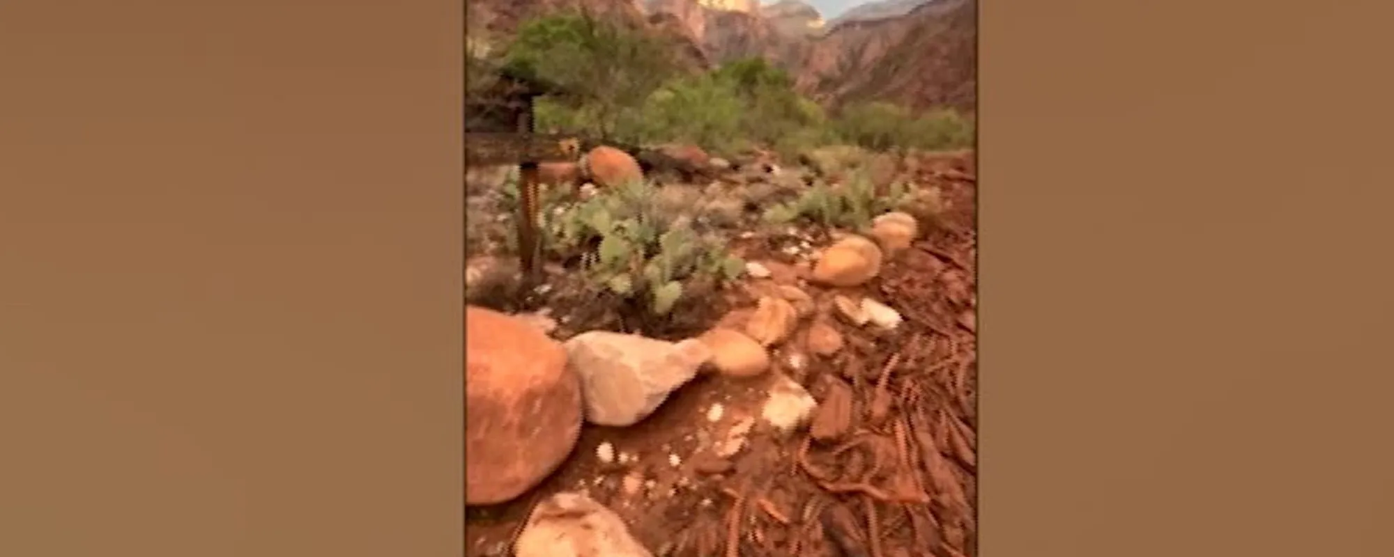 Fiume di fango nel Grand Canyon. Tragedia improvvisa: 15 dispersi