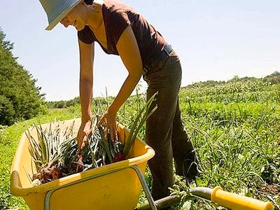 Agricoltura in evoluzione, il settore cattura sempre più giovani laureati e donne