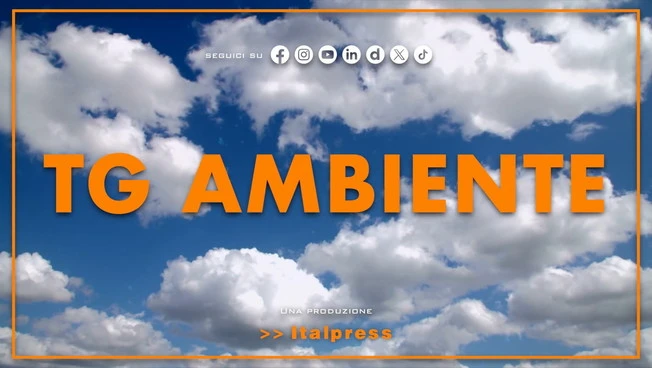 Tg Ambiente - 13/9/2026