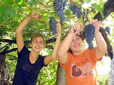 Agricoltura, cambiano i voucher